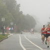 zippy_5k_run 6102