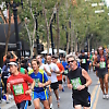 san_jose_half_marathon3 142