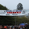 wharf_to_whart 12817