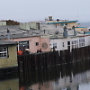 wharf_to_whart 12831