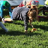 double_road_race_marin 22350