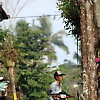 bali_double_road_race 30199