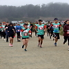 double_road_race443 64763