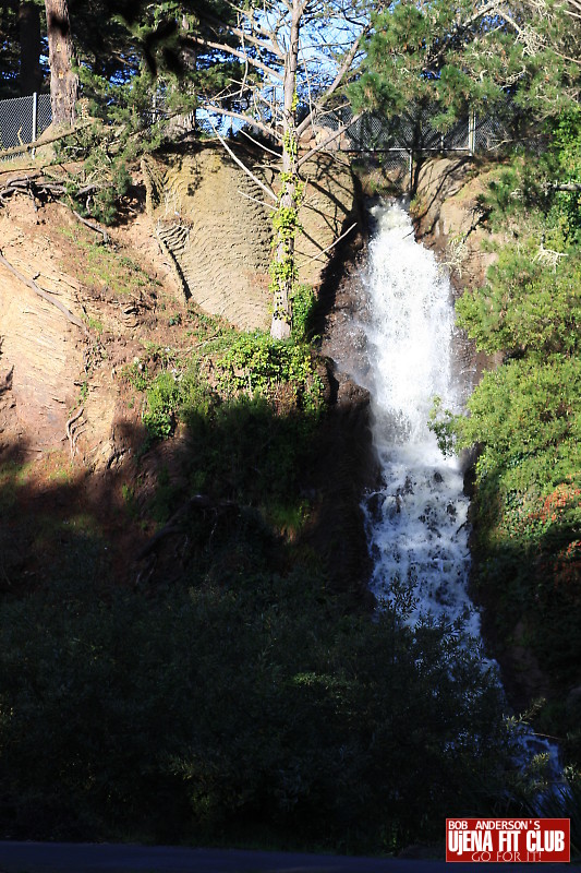 golden_gate_park_10k1 f 9481